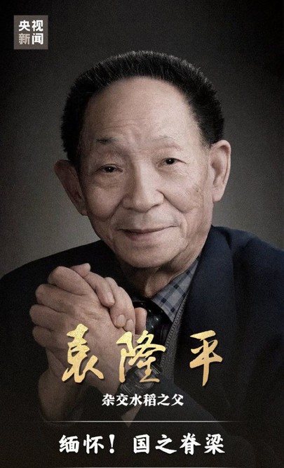 “雜交水稻之父”袁隆平逝世 享年91歲